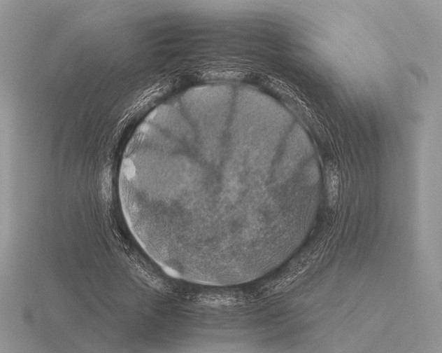 X0000115390729200912151459