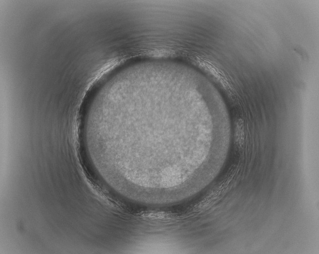 X0000115390730200912151459