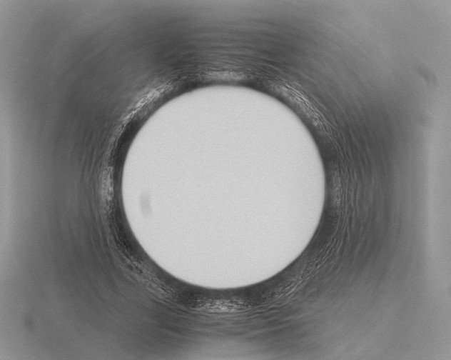 X0000115390731200912151459