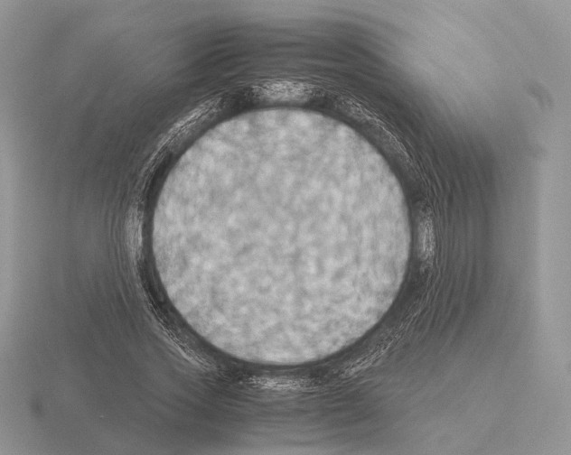 X0000115390733200912151459