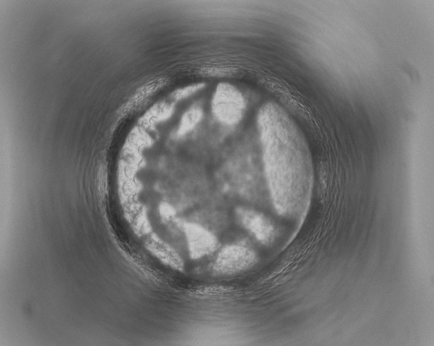 X0000115390734200912151459