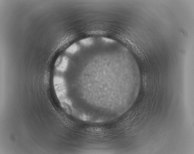 X0000115390735200912151459