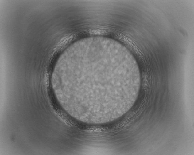 X0000115390738200912151459