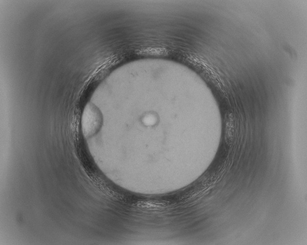 X0000115390739200912151459