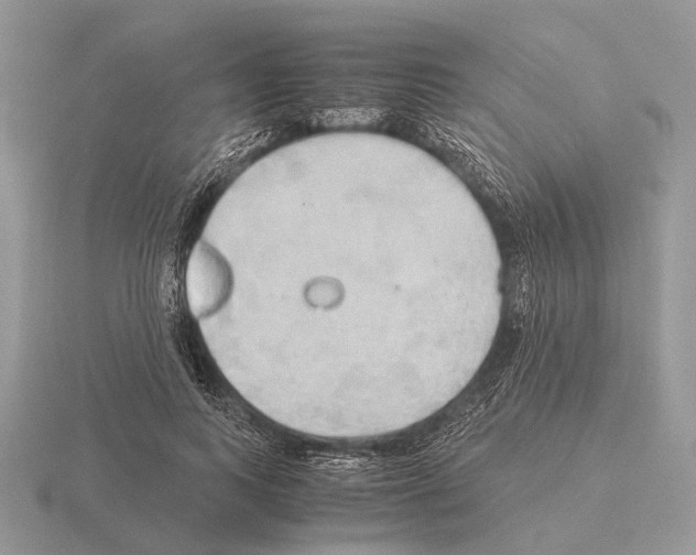 X0000115390743200912151459