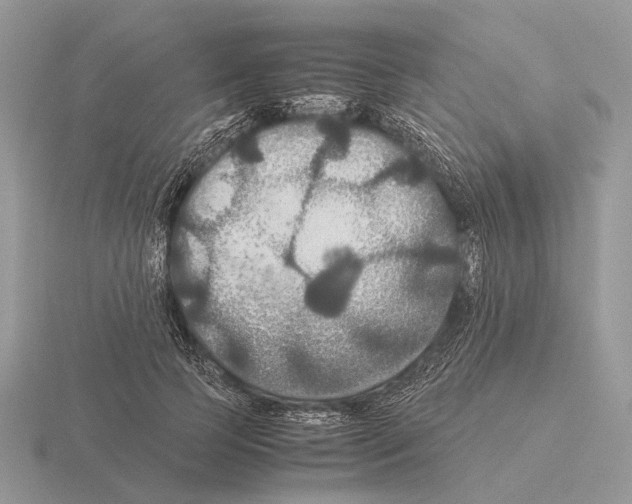 X0000115390745200912151459