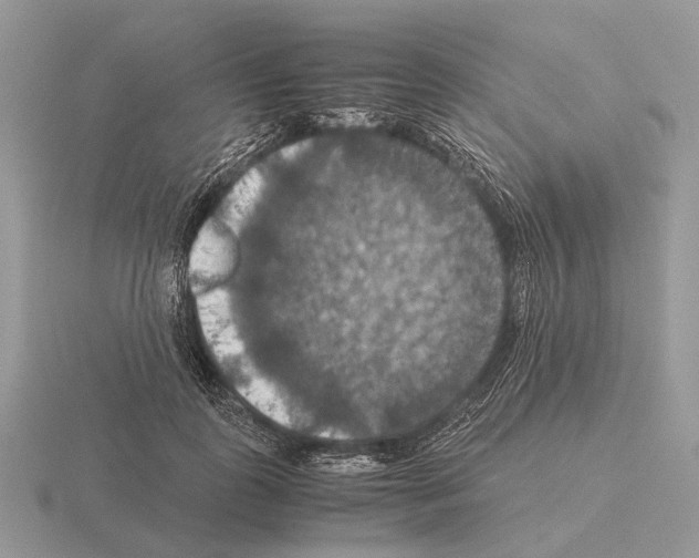 X0000115390747200912151459