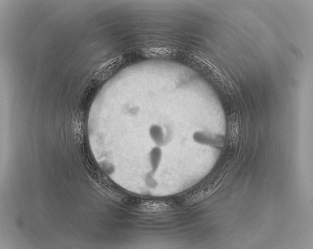 X0000115390749200912151459