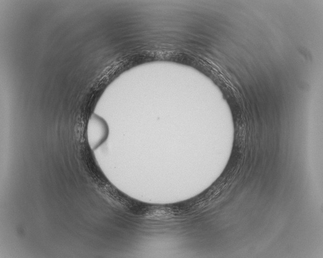 X0000115390750200912151459