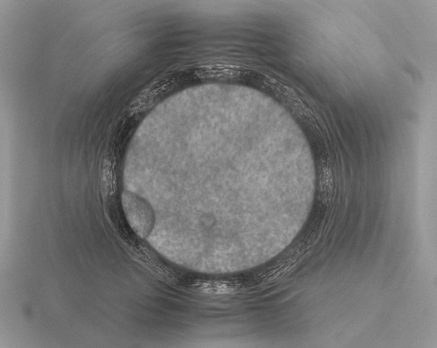 X0000115390751200912151459