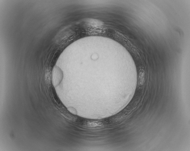 X0000115390753200912151459