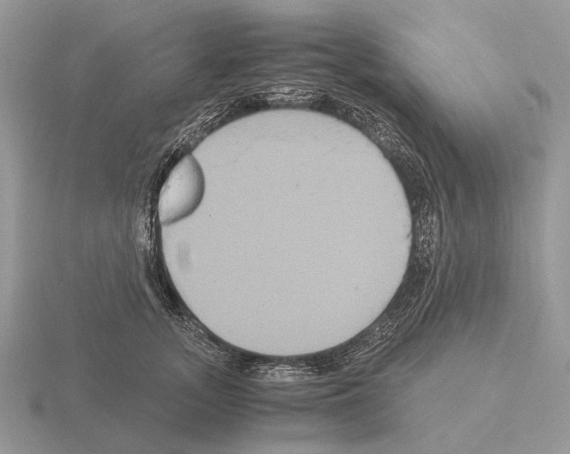 X0000115390755200912151459