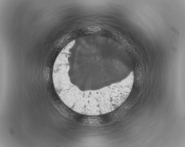 X0000115390758200912151459