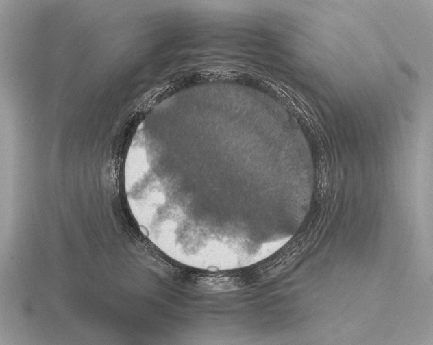 X0000115390759200912151459