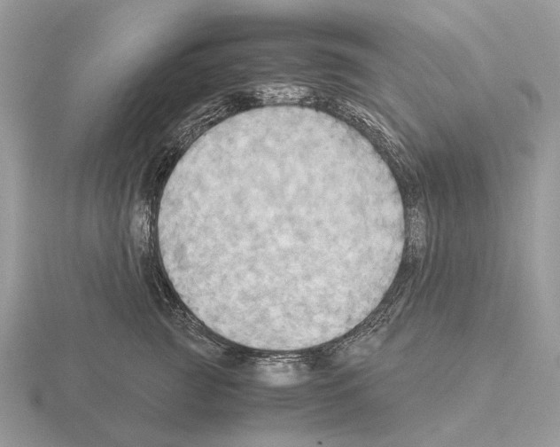 X0000115390761200912151459