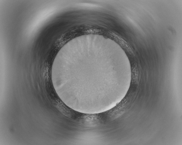 X0000115390762200912151459