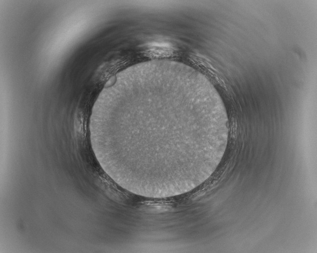 X0000115390763200912151459