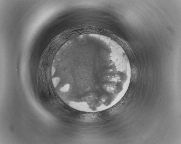 X0000115390765200912151459