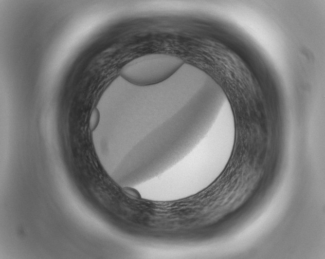 X0000115390766200912151459