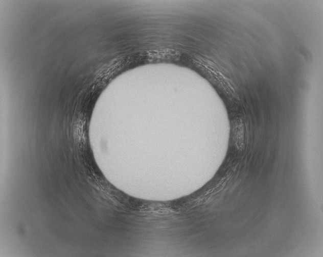 X0000115390770200912151459