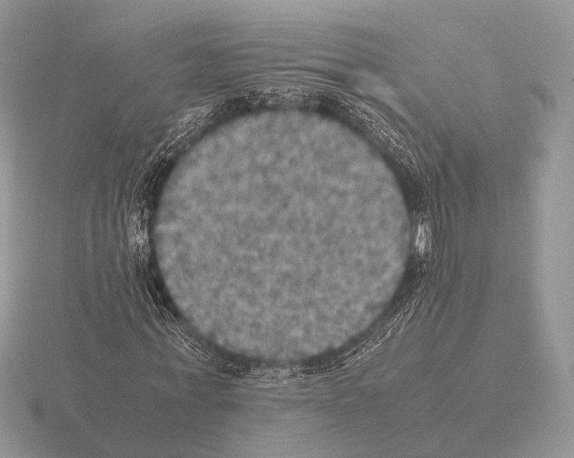 X0000115390771200912151459