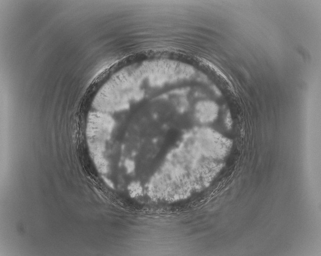 X0000115390775200912151459