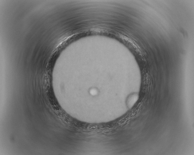 X0000115390776200912151459