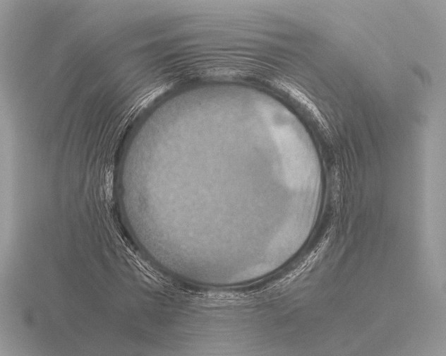 X0000115390777200912151459