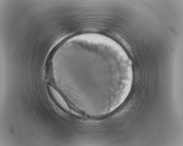 X0000115390779200912151459