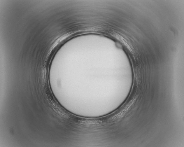 X0000115390781200912151459