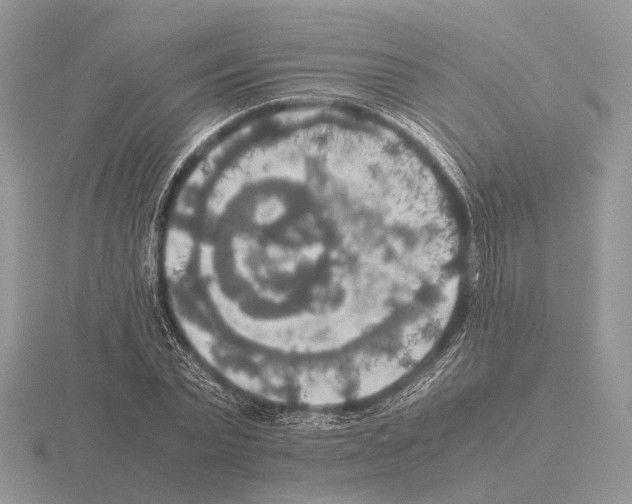 X0000115390783200912151459