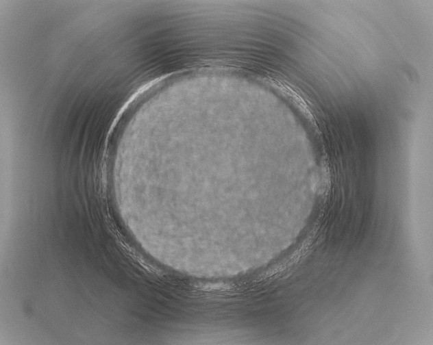 X0000115390784200912151459