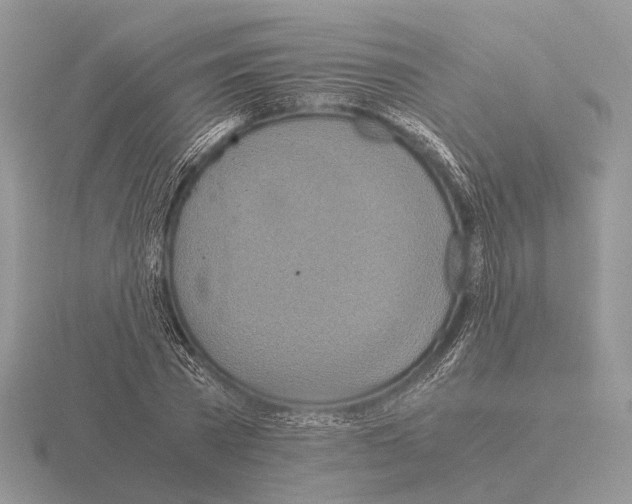 X0000115390785200912151459