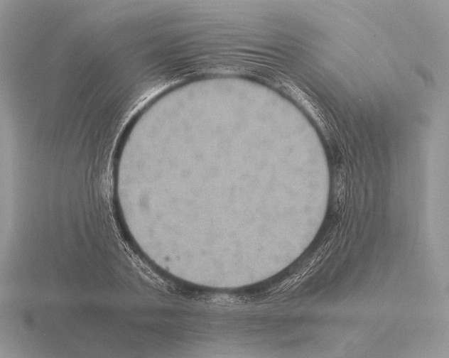 X0000115390787200912151459