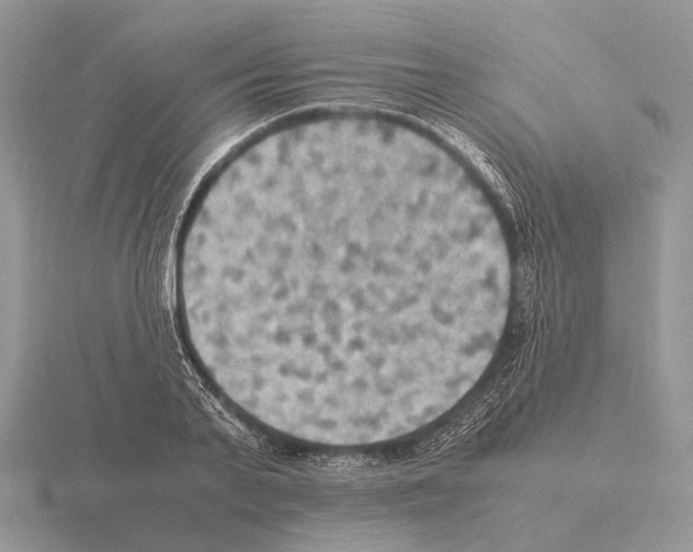 X0000115390791200912151459