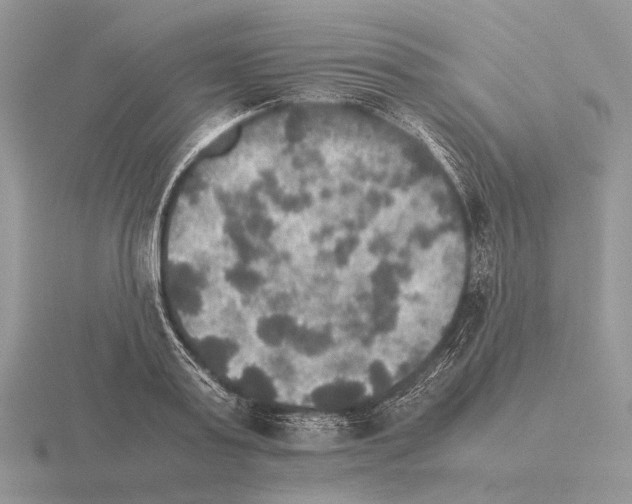 X0000115390795200912151459