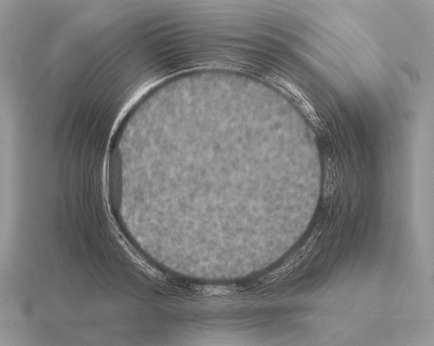 X0000115390796200912151459