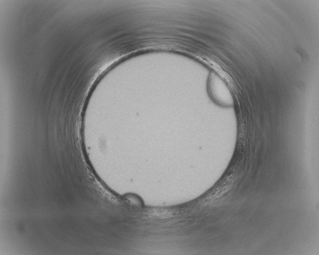 X0000115390799200912151458