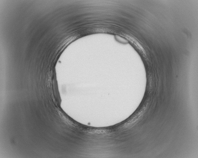 X0000115390801200912151458