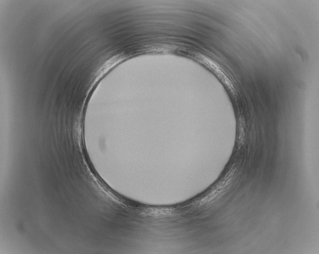 X0000115390802200912151458