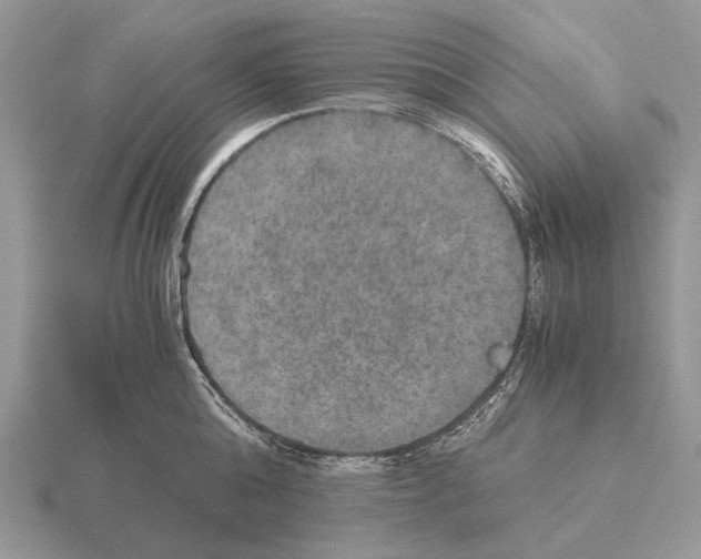 X0000115390808200912151458