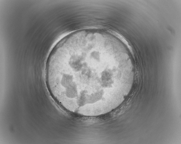 X0000115390811200912151458