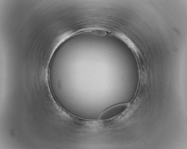 X0000115390813200912151458