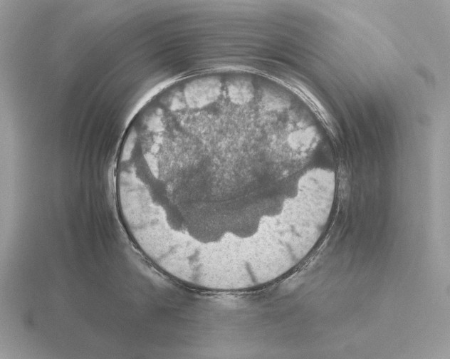 X0000115390814200912151458