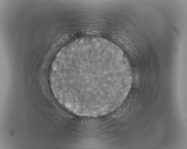 X0000115390817200912151458