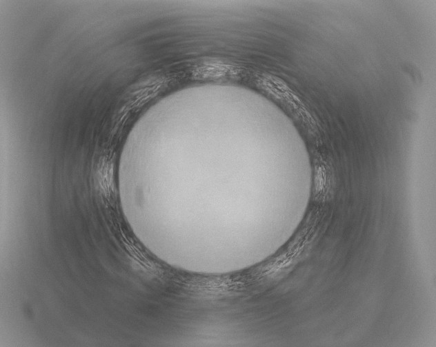 X0000115390820200912151458