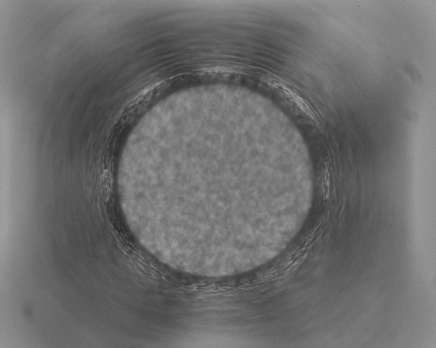 X0000115390821200912151458