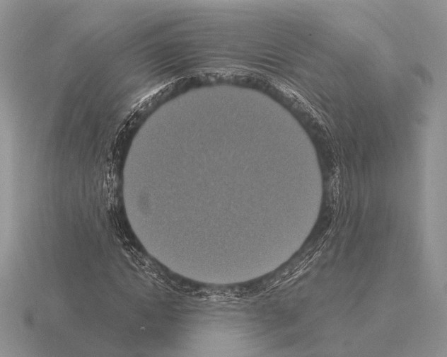 X0000115390822200912151458