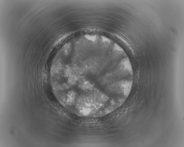 X0000115390823200912151458