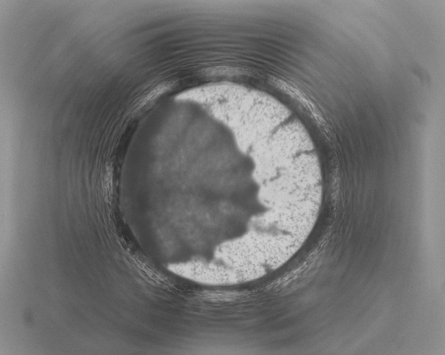 X0000115390825200912151458